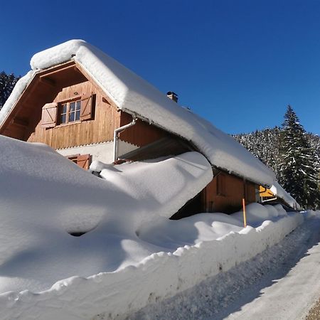 Pohorje House 2 Four Appartmetns Oplotnica Экстерьер фото