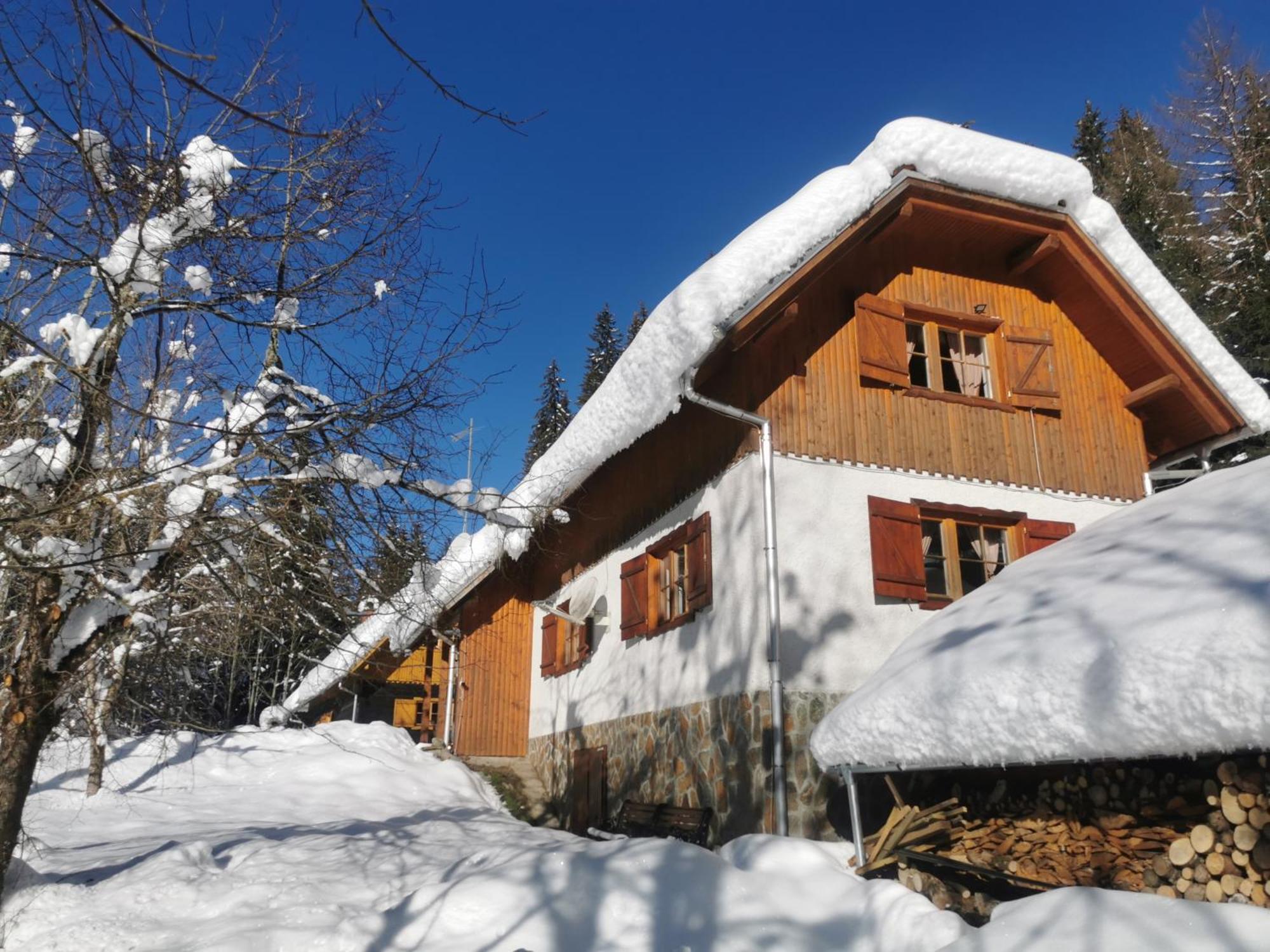 Pohorje House 2 Four Appartmetns Oplotnica Экстерьер фото