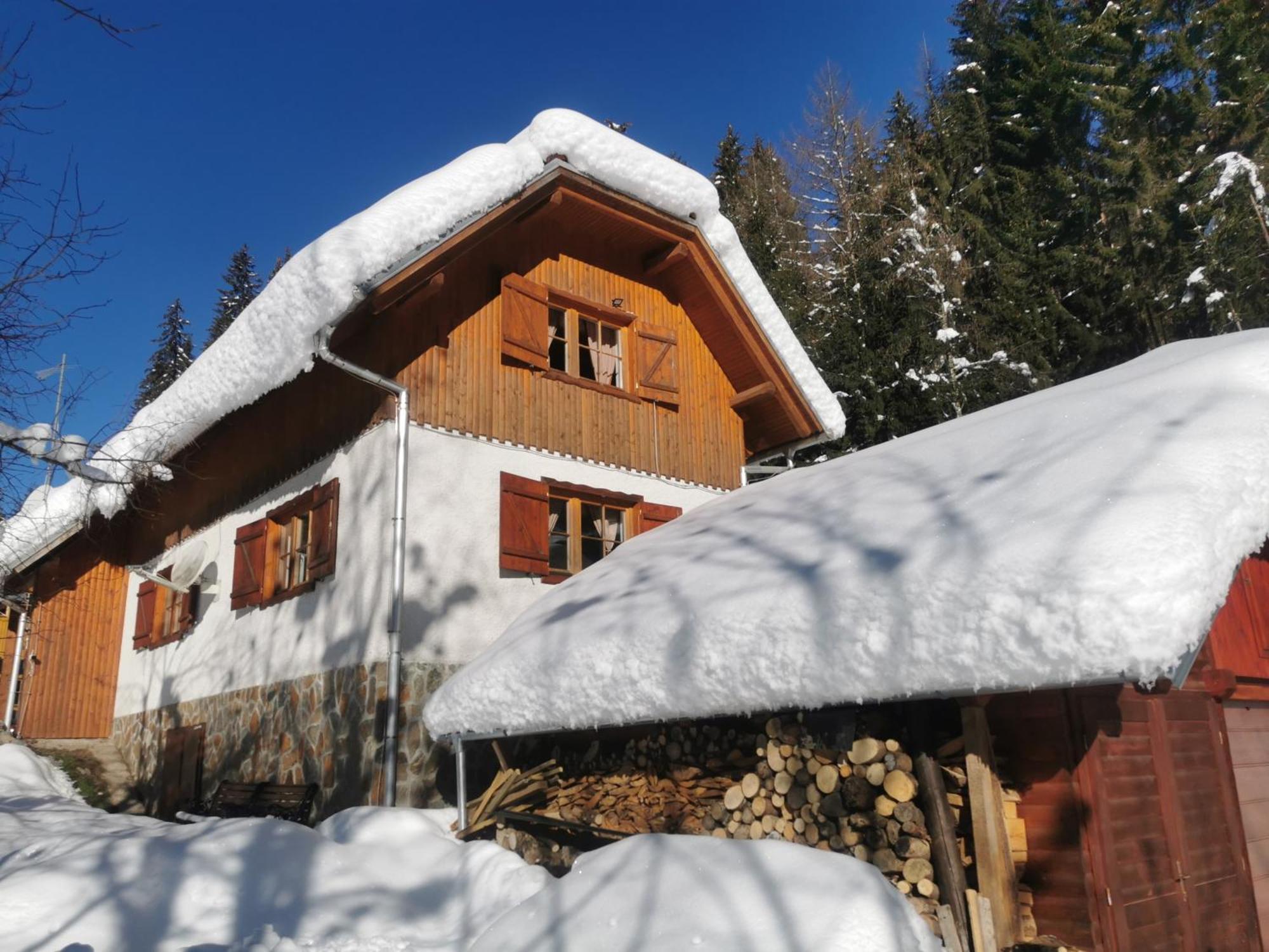 Pohorje House 2 Four Appartmetns Oplotnica Экстерьер фото
