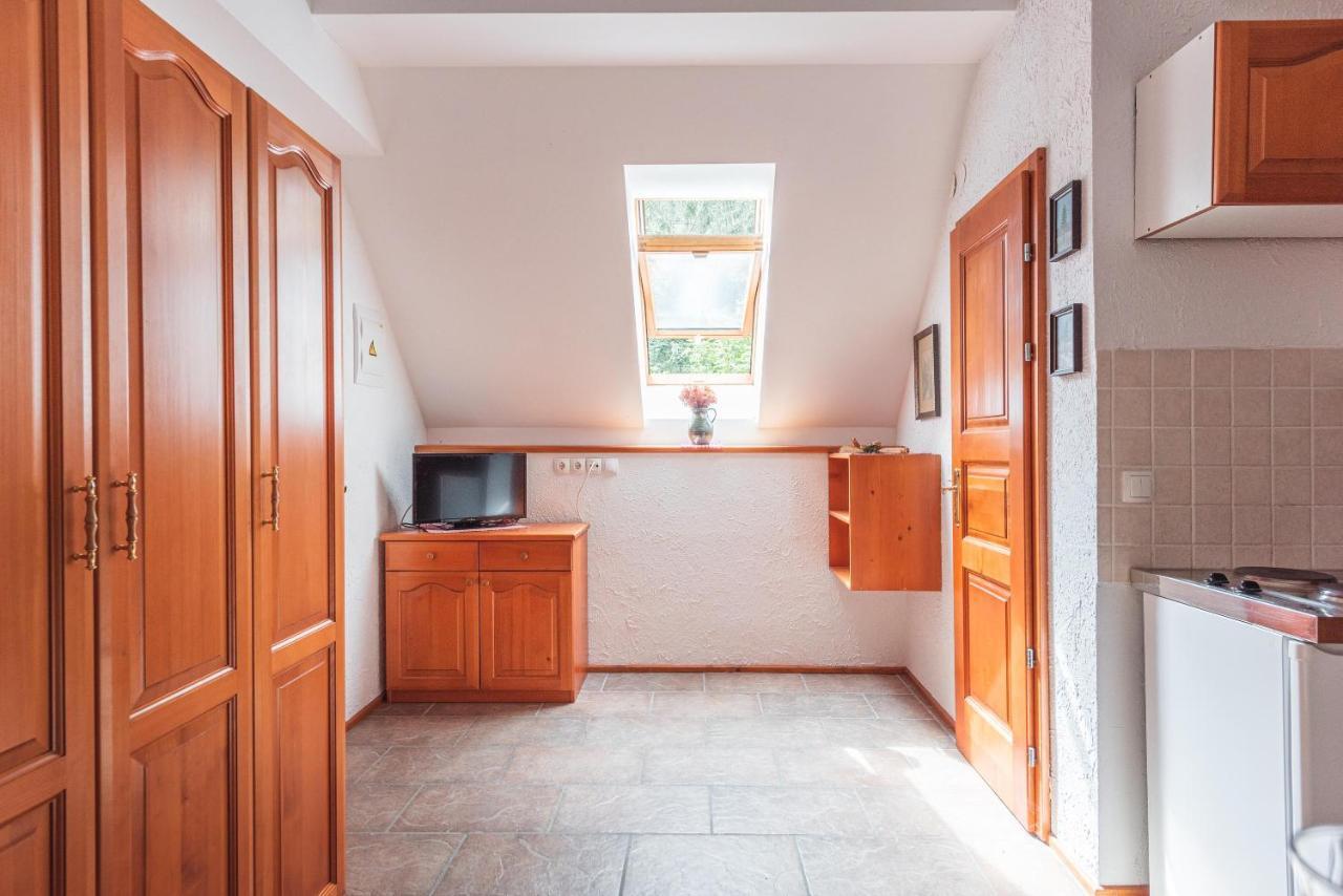 Pohorje House 2 Four Appartmetns Oplotnica Экстерьер фото
